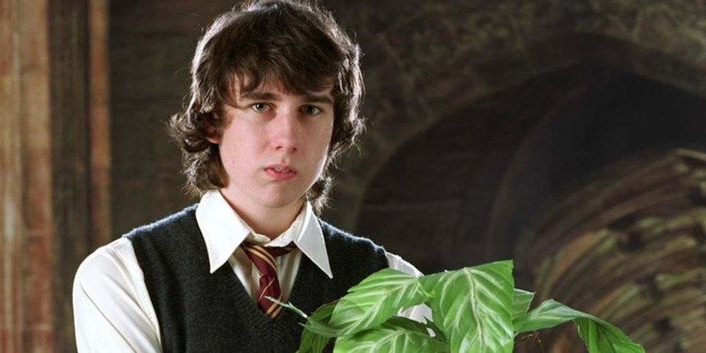 Neville Longbottom from Harry Potter 