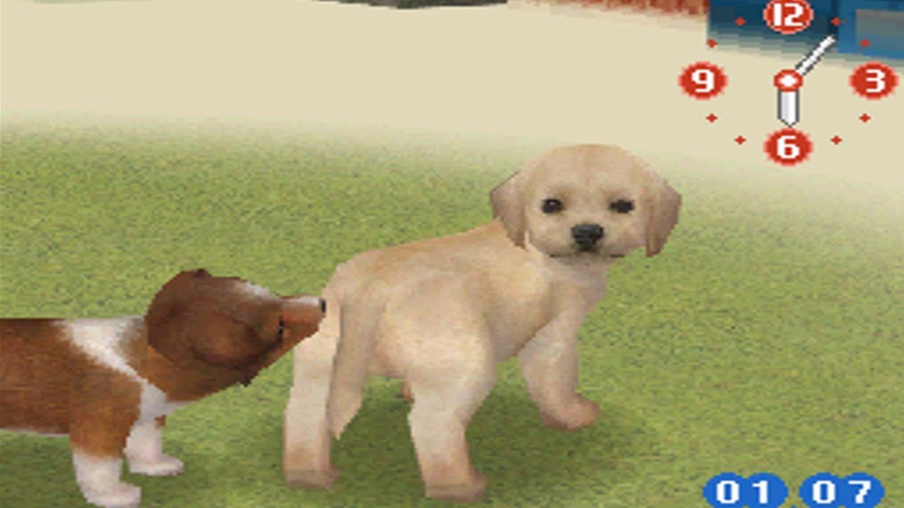 Nintendogs for switch release 2024 date