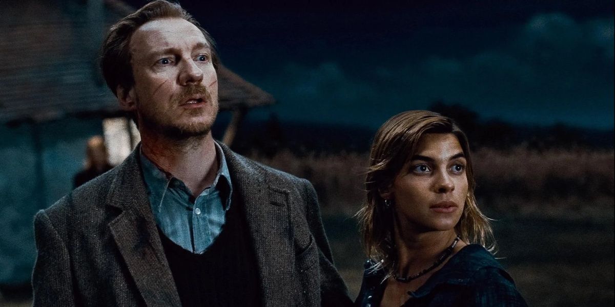 Remus Lupin and Tonks staning in front of the Burrow in Harry Potter and the Deathly Hallows: Part 1.