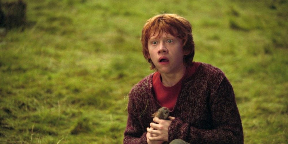 Ron Weasley holding Scabbers in Harry Potter and the Prisoner of Azkaban.