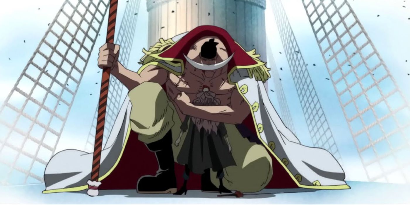 Squard Being Forgiven by Whitebeard