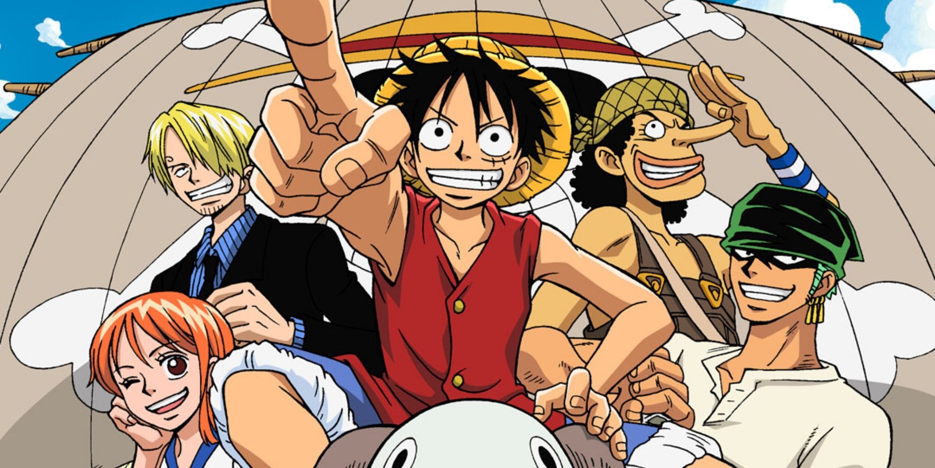 The Straw Hat Pirates of One Piece
