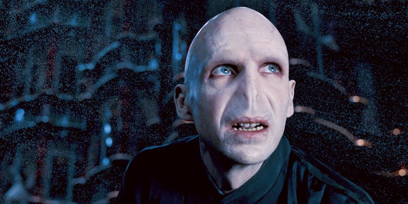     Voldemort from the Harry Potter series