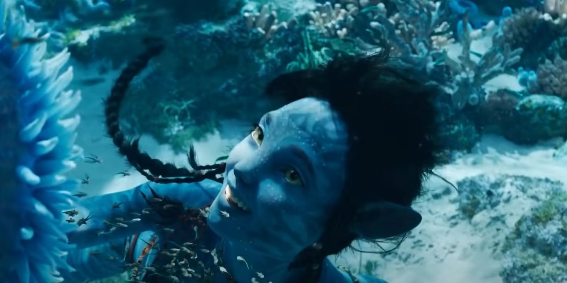a Navi swimming underwater in Avatar The Way of Water