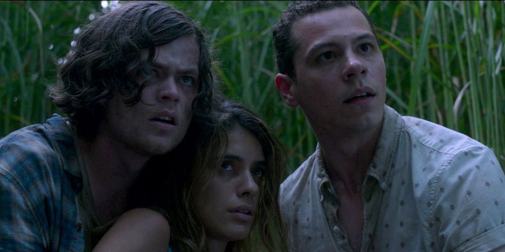 in the tall grass Cropped