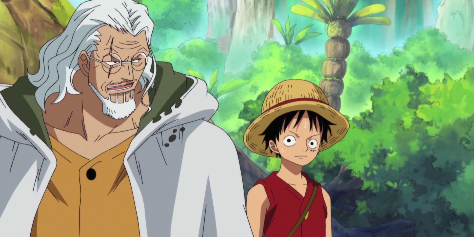 luffy and rayleigh
