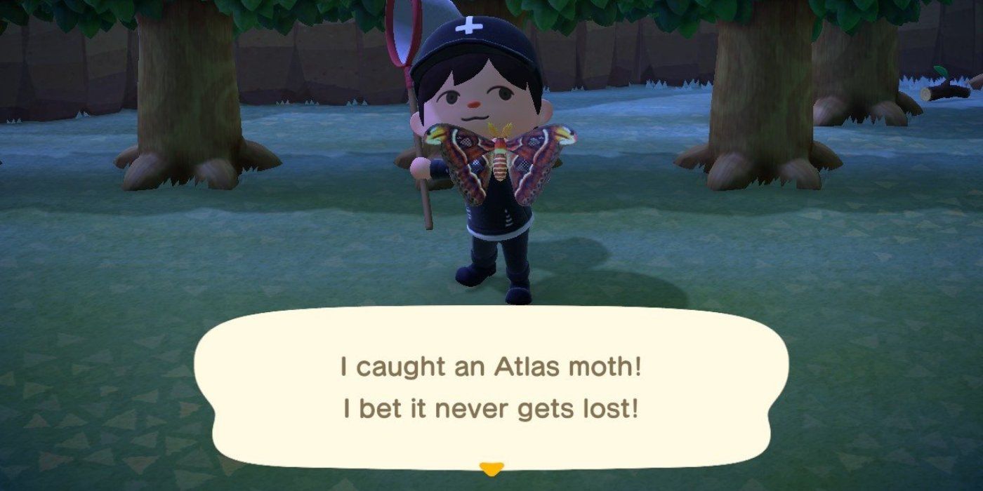 Atlas moth animal crossing deals new horizons