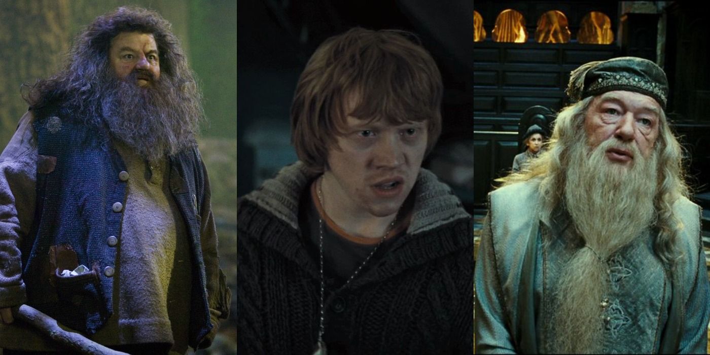 Hagrid, Ron, Dumbledore