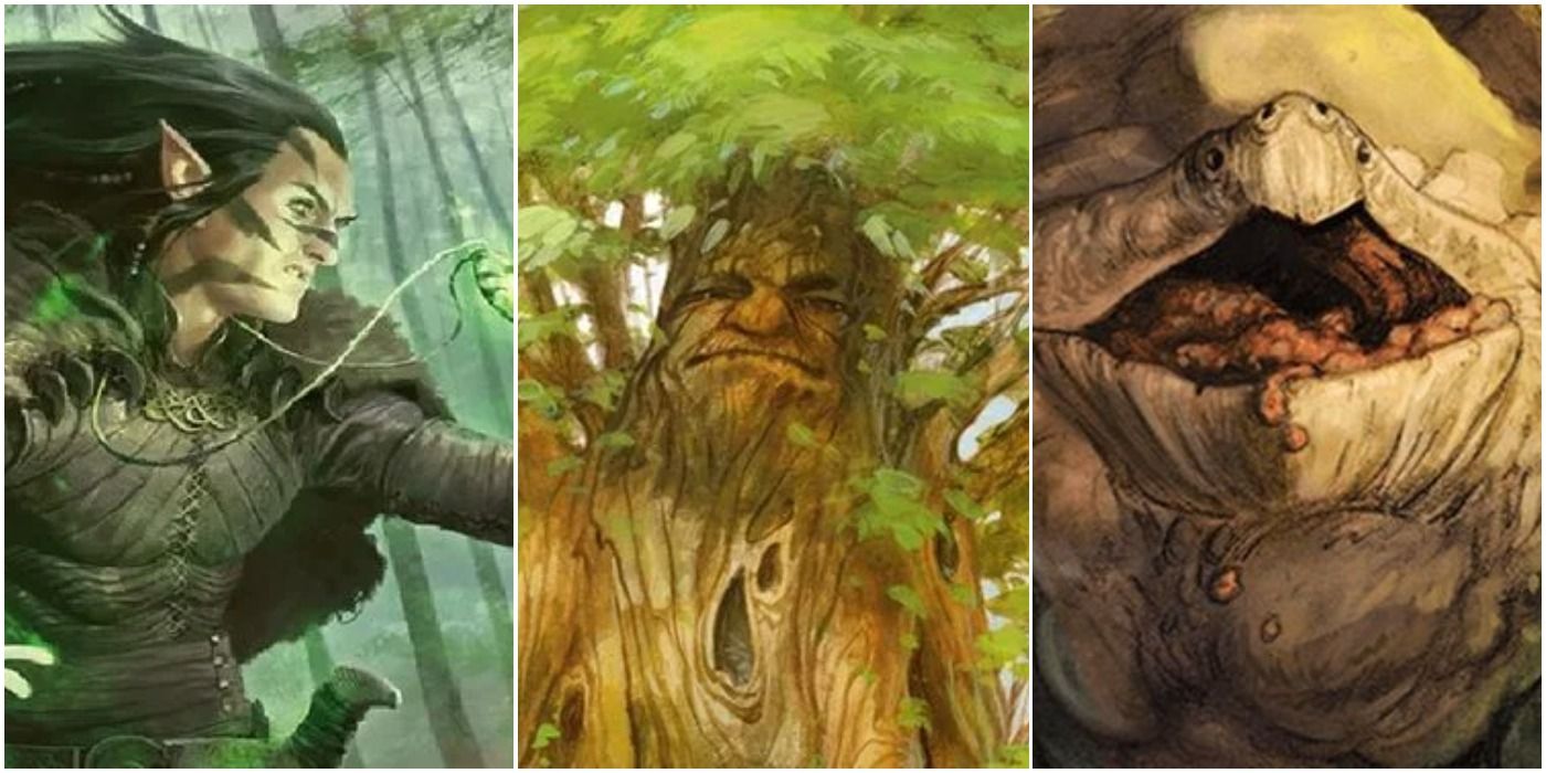 dnd forest creatures an elf a treant and a zaratan, a turtle made from earth