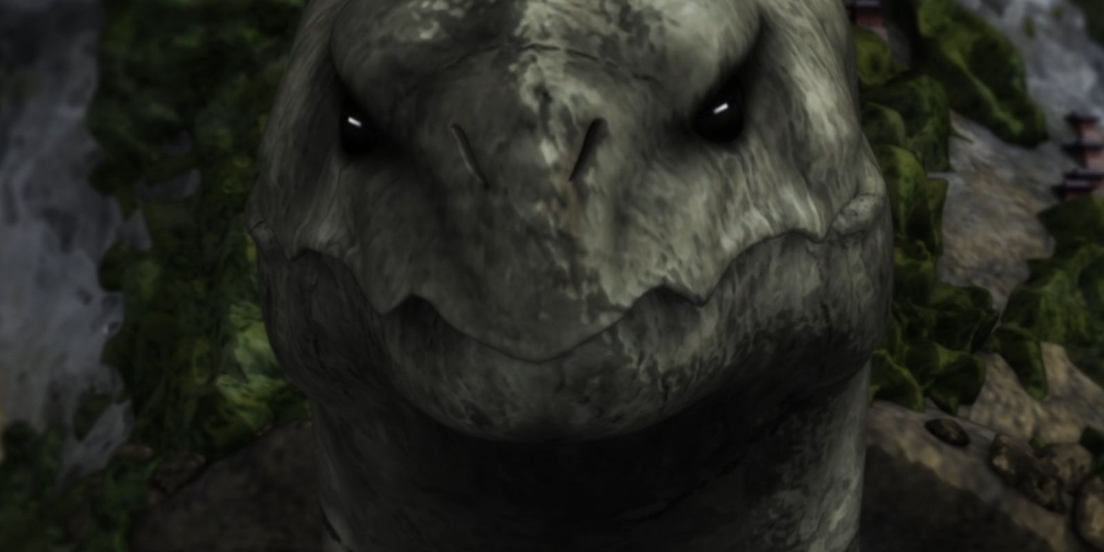spirit tortoise face