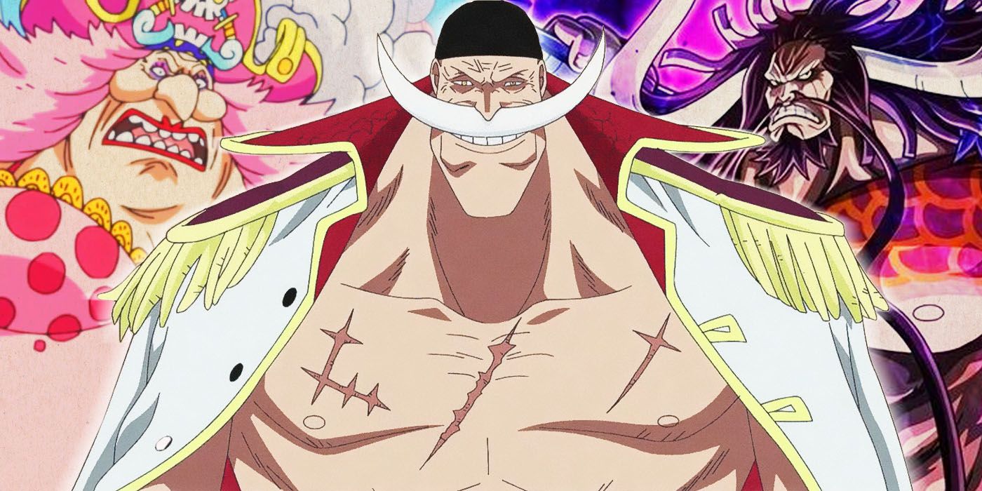One Piece Theory: Whitebeard, Kaido, & Big Mom Betrayed Xebec