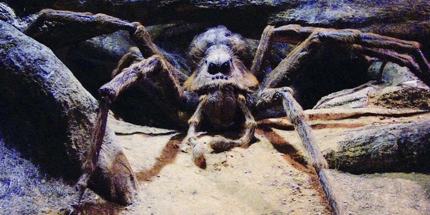 Aragog the Acromantula talking to Harry and Ron in his nest in Harry Potter