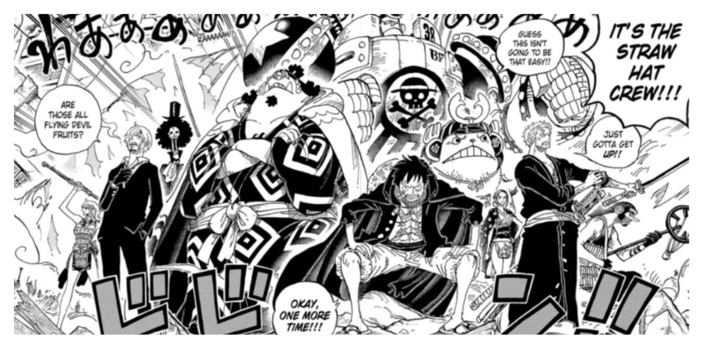 Luffy and Straw Hat Crew 