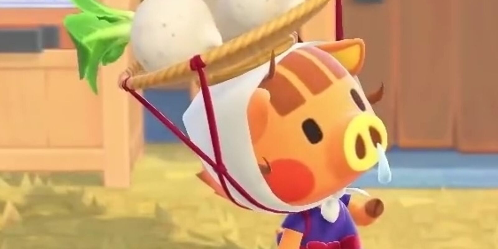 Daisy Mae from Animal Crossing: New Horizons with turnips on her basket hat.