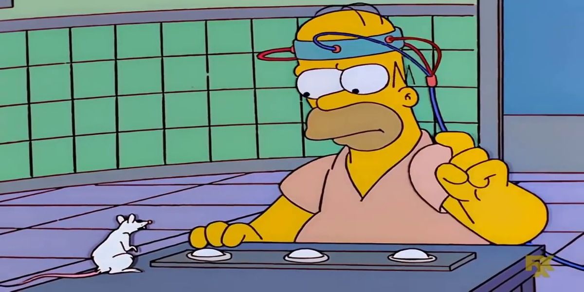 Homer Simpson takes a test with mice