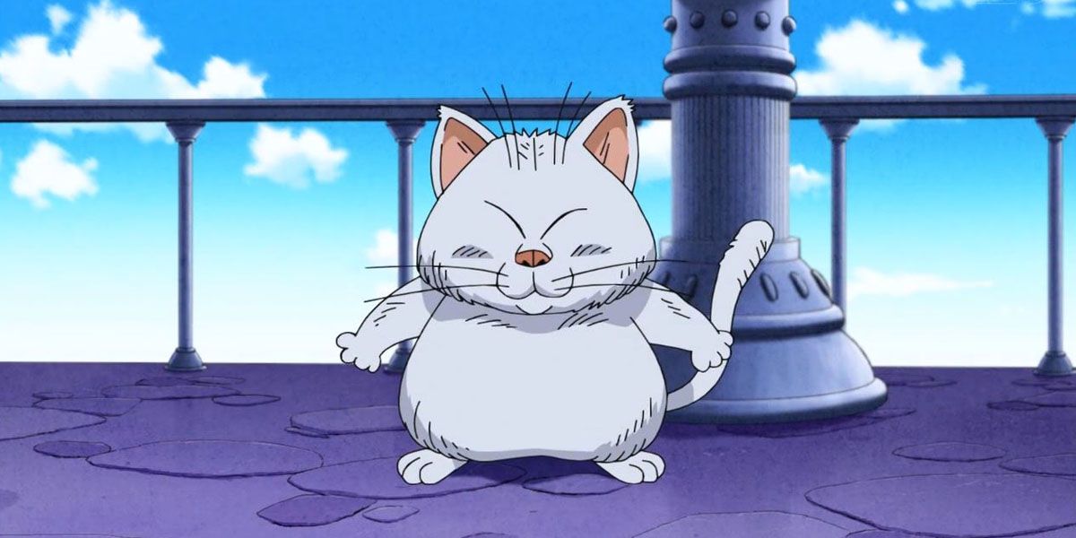 Korin In Dragon Ball Super