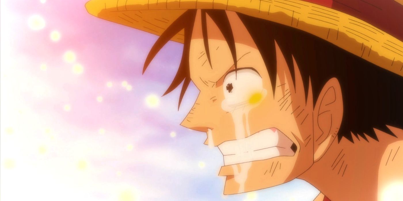 Luffy cries at Going Merry's death