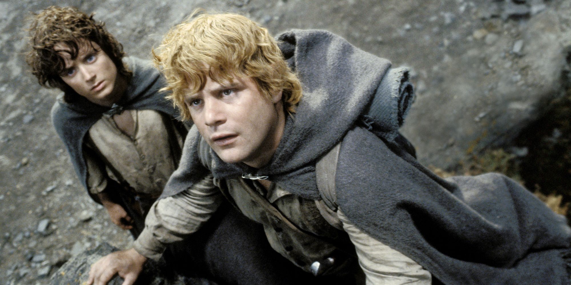 The Lord Of The Rings: Return Of The King (2003) Sam & Frodo