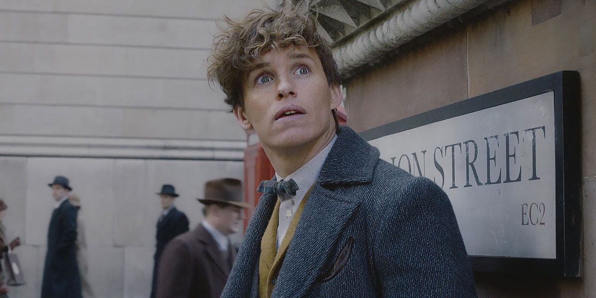 Newt Scamander looking up In Fantastic Beasts And Where To Find Them