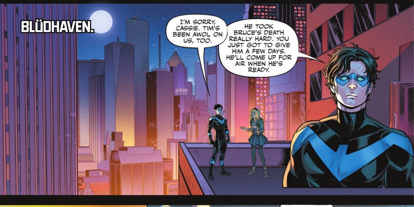 Nightwing Disregards Wonder Girl's Concerns
