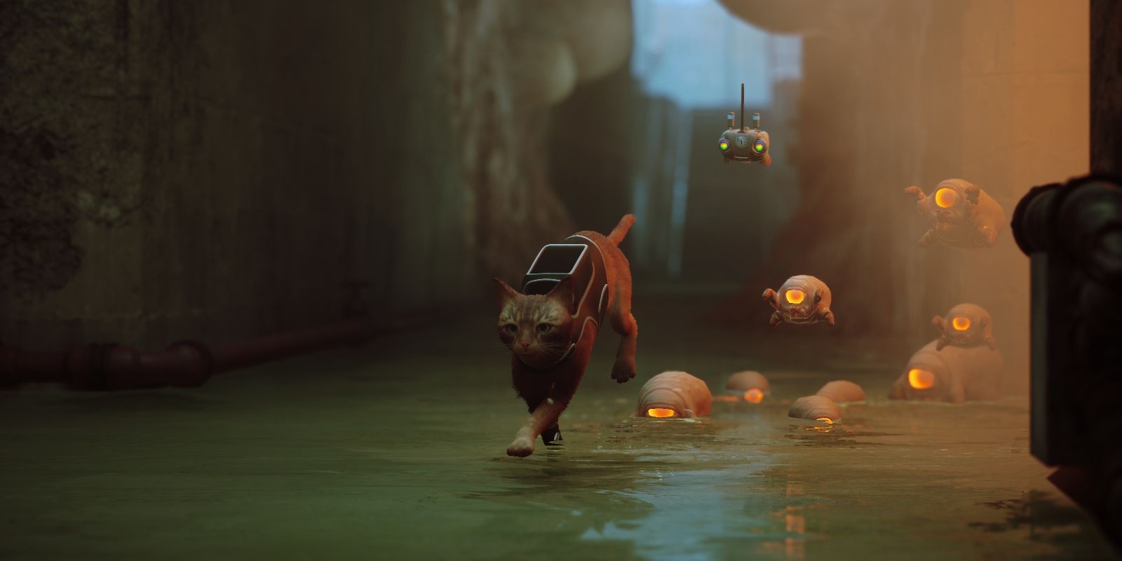 Stray review: a triumphant cyberpunk adventure about being a cat - Polygon