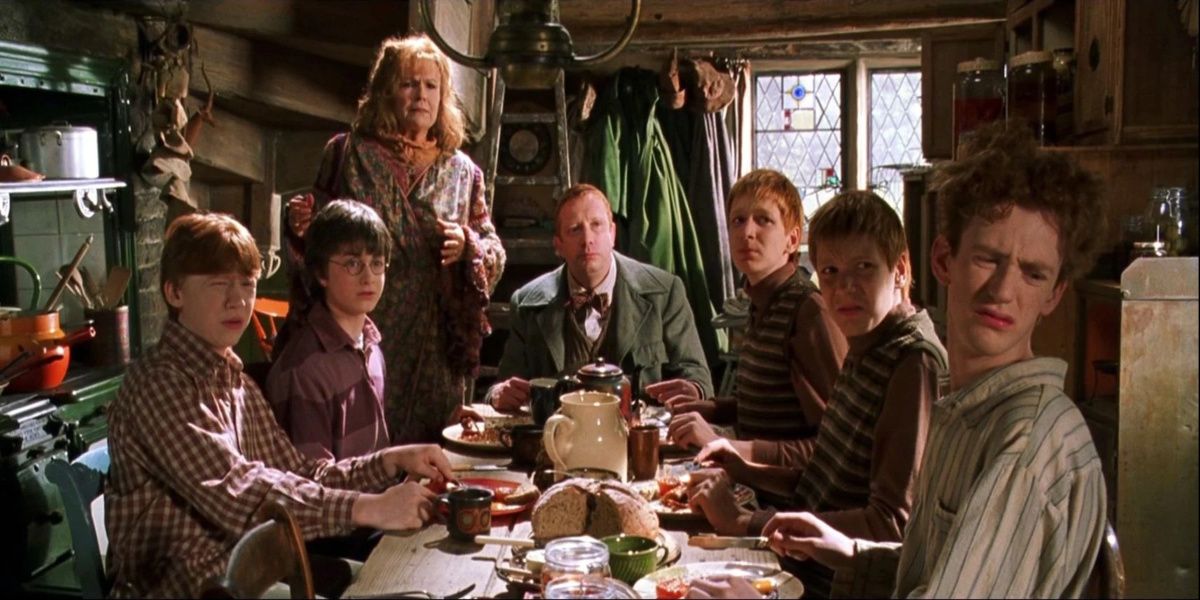 The Weasley Family and Harry from the Chamber of Secrets