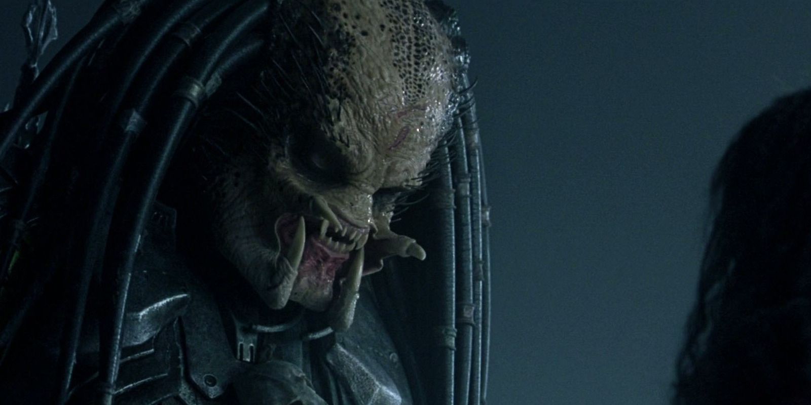 Alien: Romulus Has the Perfect Tool to Reinvigorate the AVP Franchise