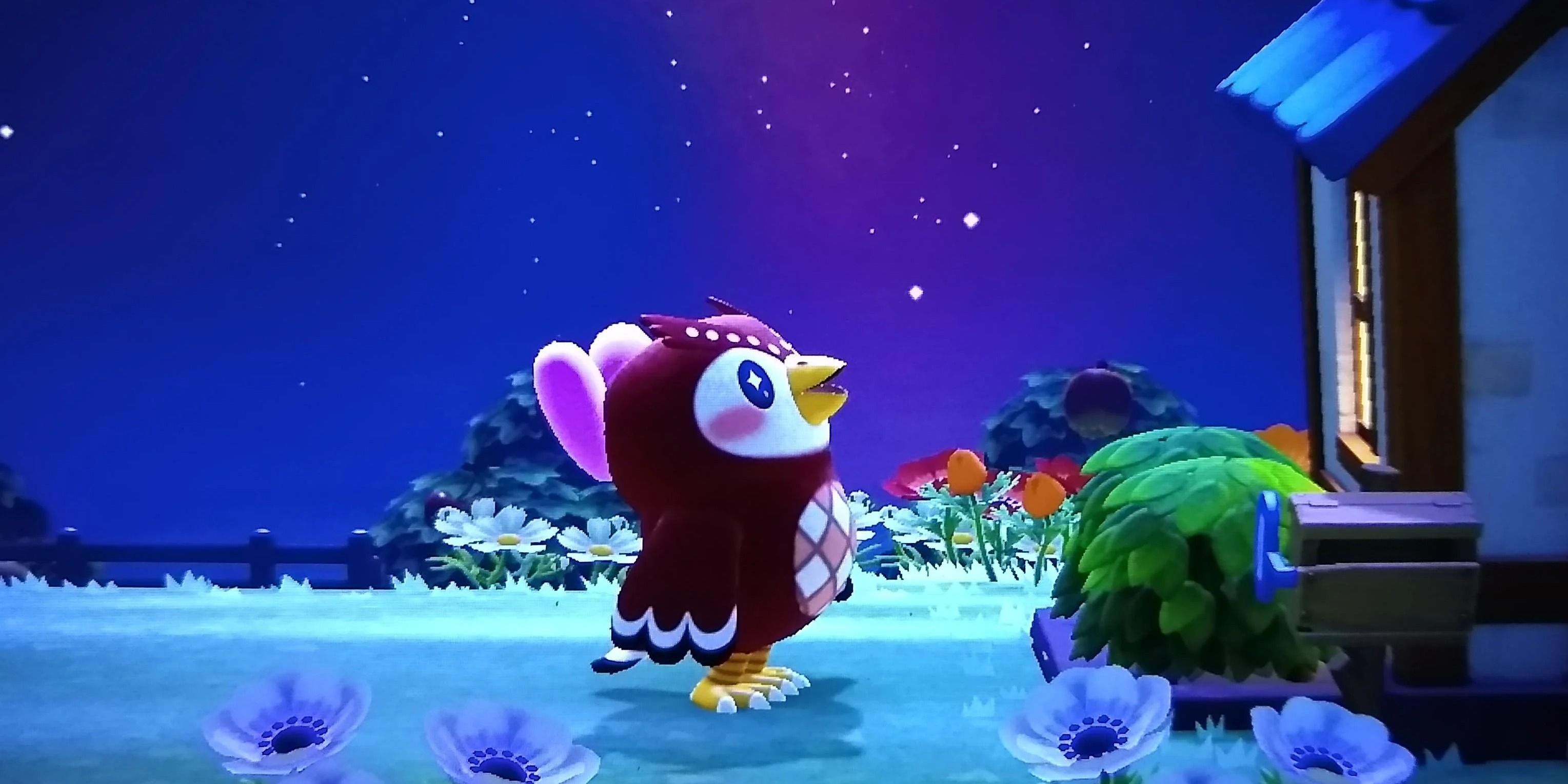 Celeste from Animal Crossing: New Horizons looking up at the starry sky.