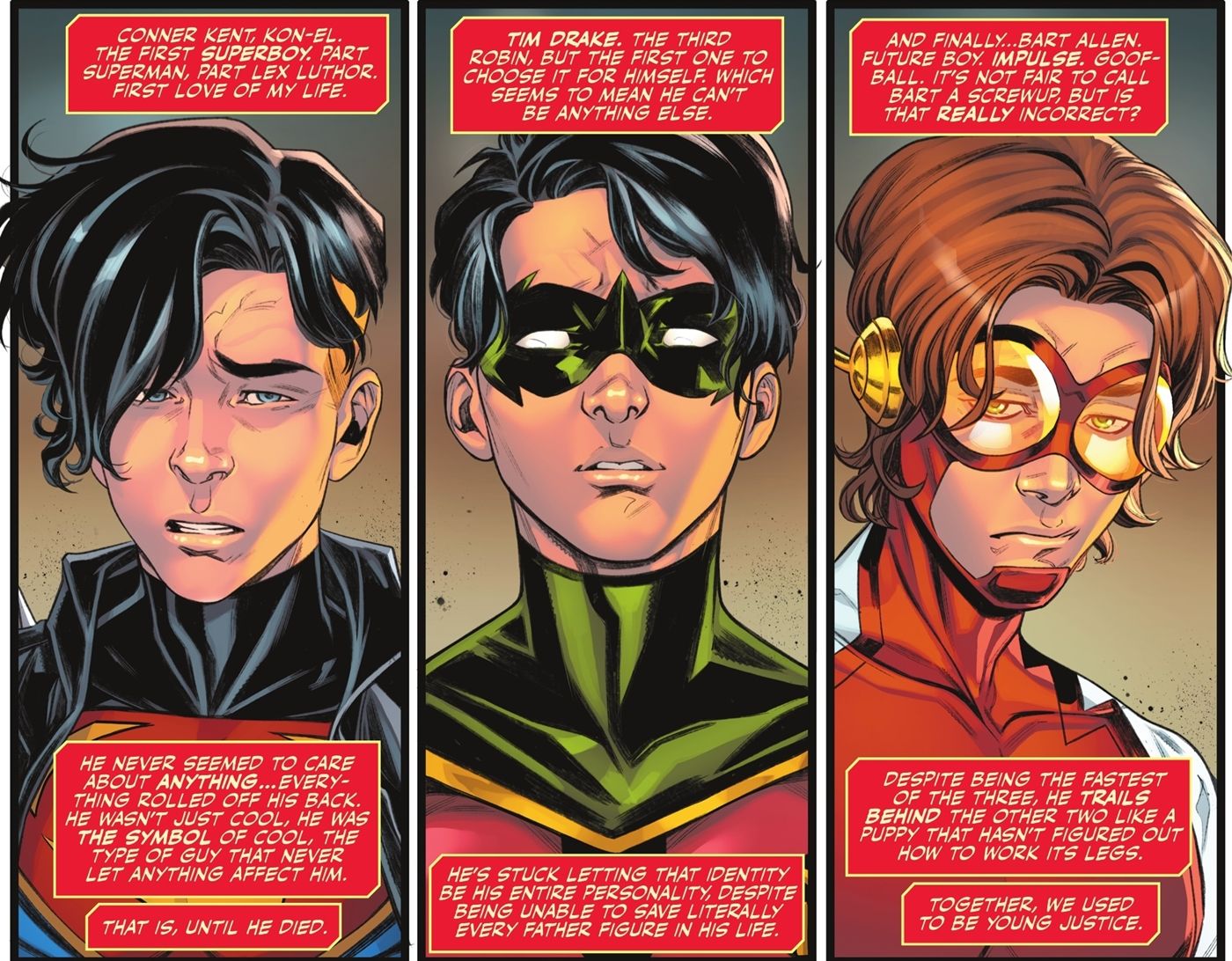 young justice tryptich