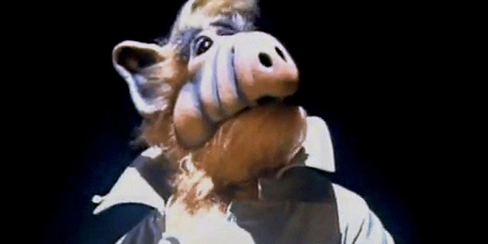 ALF is about to get captured in the ALF series finale