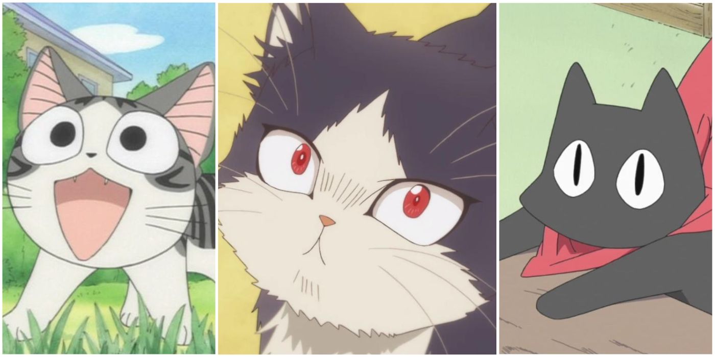 Top 50 Best Anime Cats: Most Popular Of All Time | Wealth of Geeks