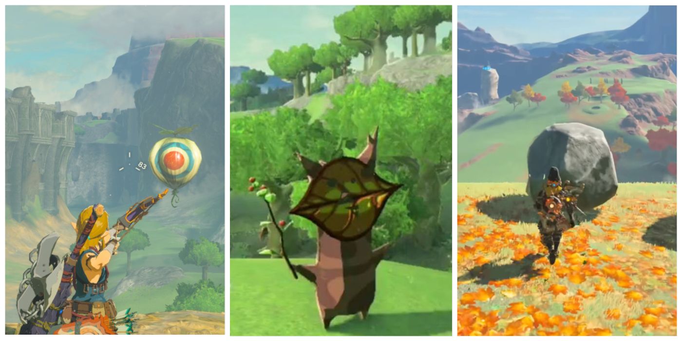 How Many Korok Seeds Are in Tears of the Kingdom & Breath of the Wild?
