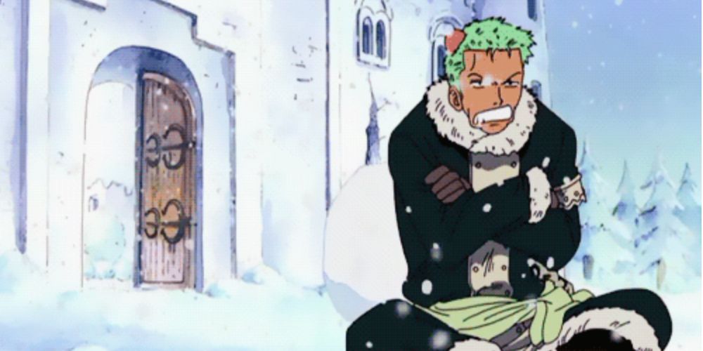 15 Best Zoro Outfits In One Piece