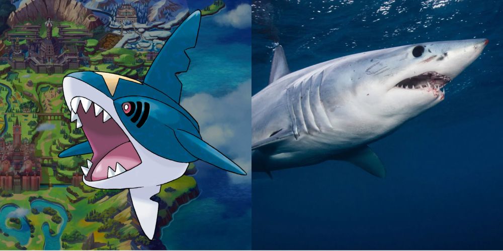 A split image of Sharpedo from Pokémon and a mako shark