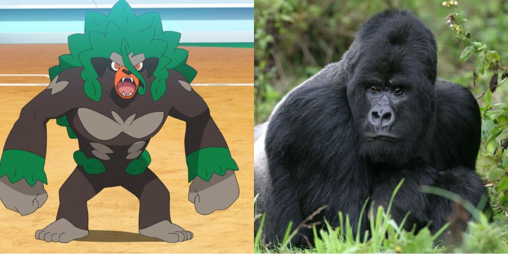 A split image of the Pokémon Rillaboom and a gorilla.