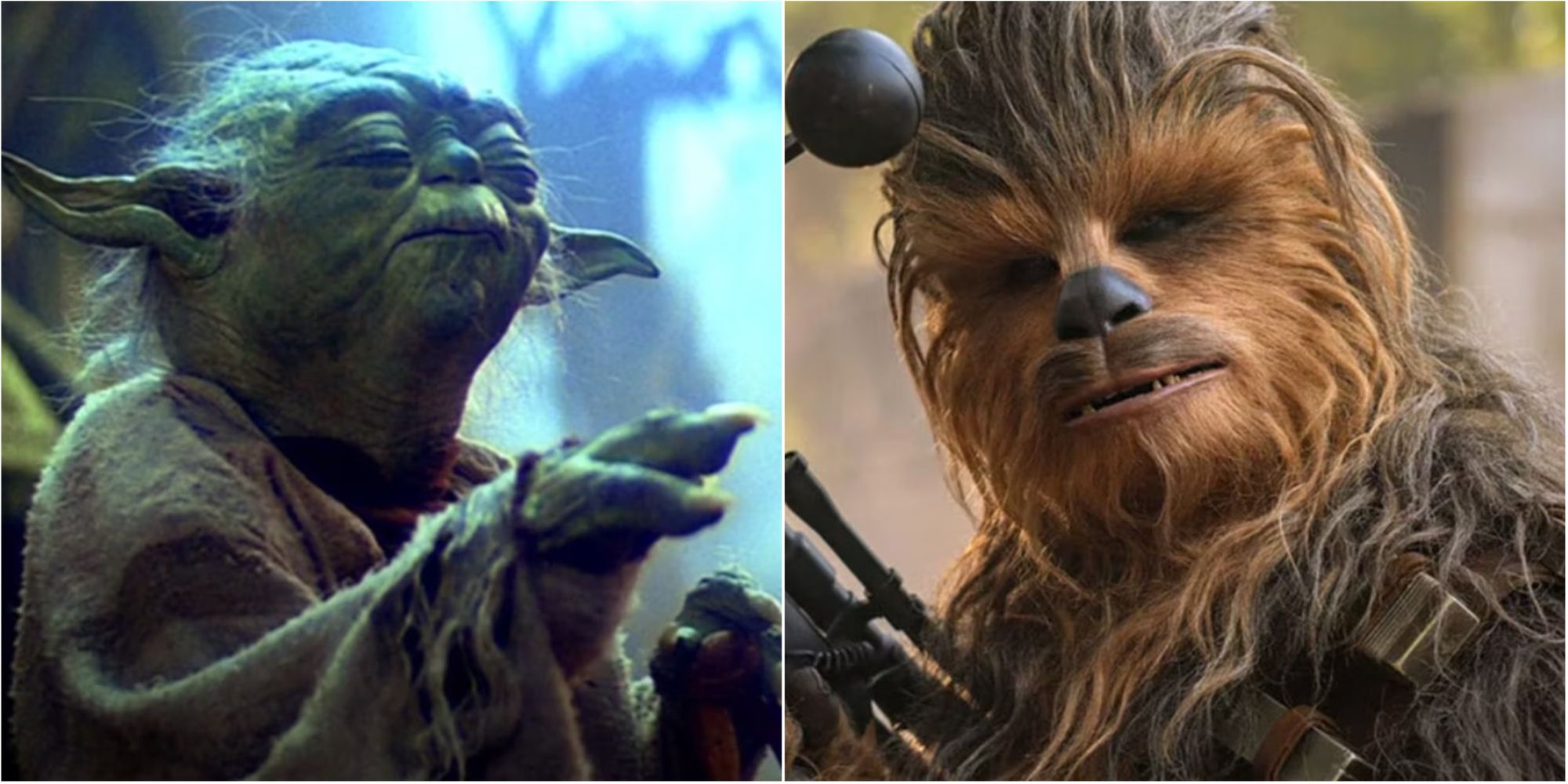 Yoda and Chewbacca in Star Wars