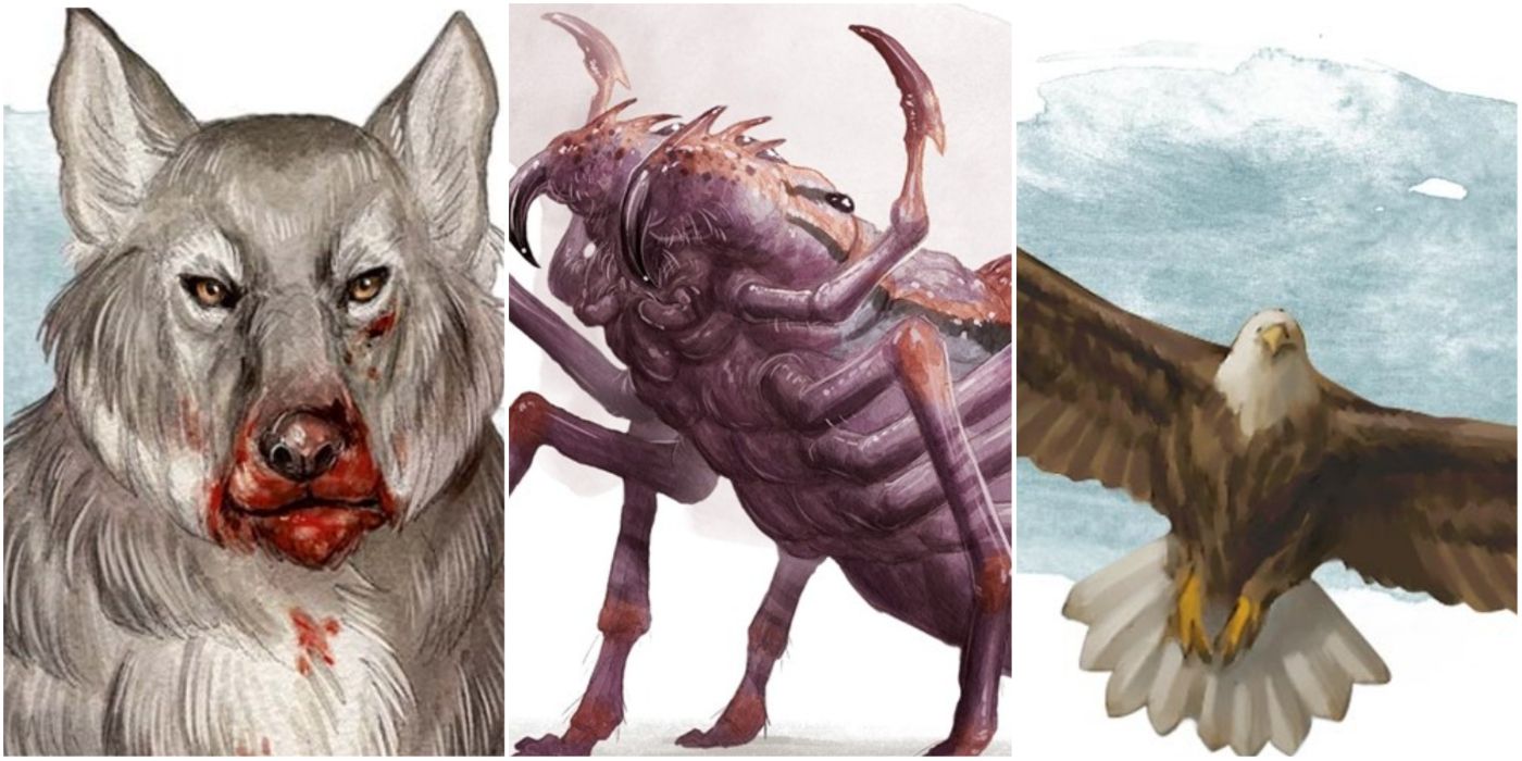 A collage of a Dire Wolf, Giant Spider, and Giant Eagle
