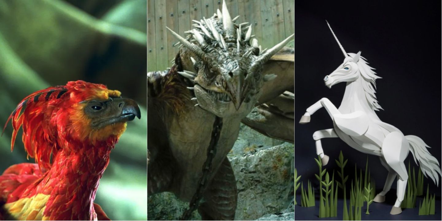 15 Things You Didn't Know About Wand Cores In Harry Potter