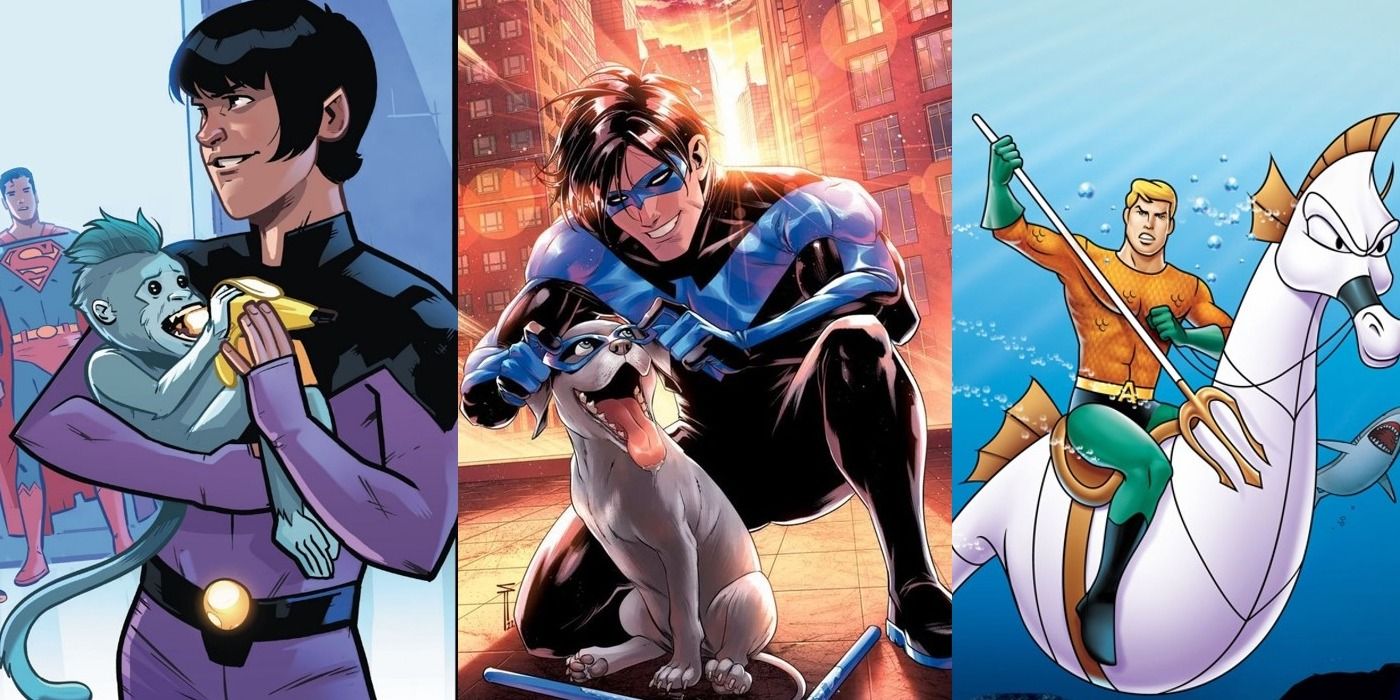 Collage of Gleek, Bitewing, and Storm the seahorse with their owners - DC Super pets list