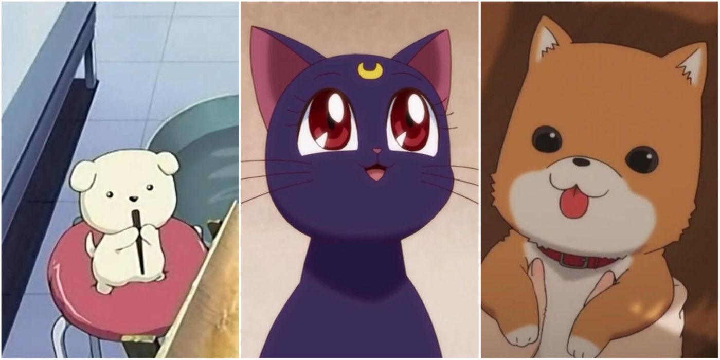 Top 10 Cutest Anime Animals Of All Time, Ranked