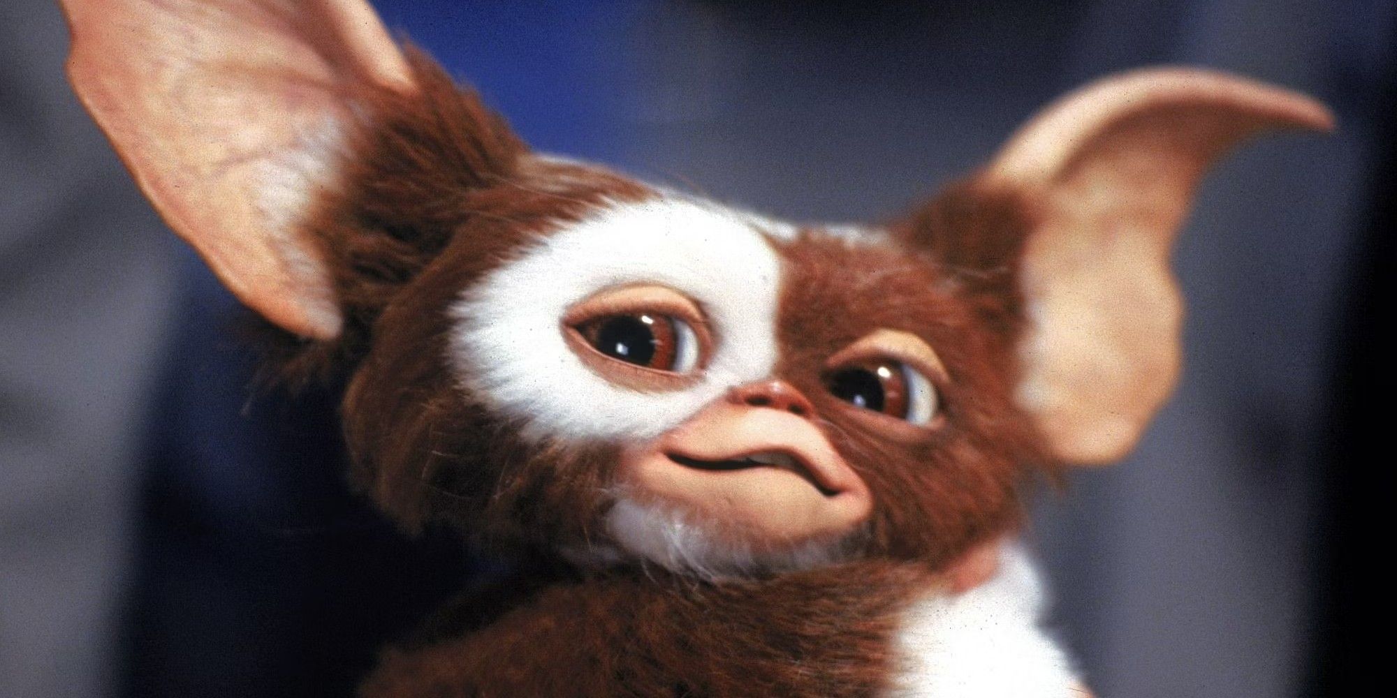 Gizmo, a Mogwai in the Gremlins franchise