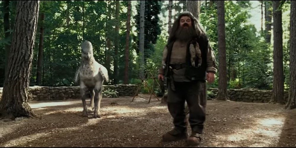 Hagrid introduces Buckbeak