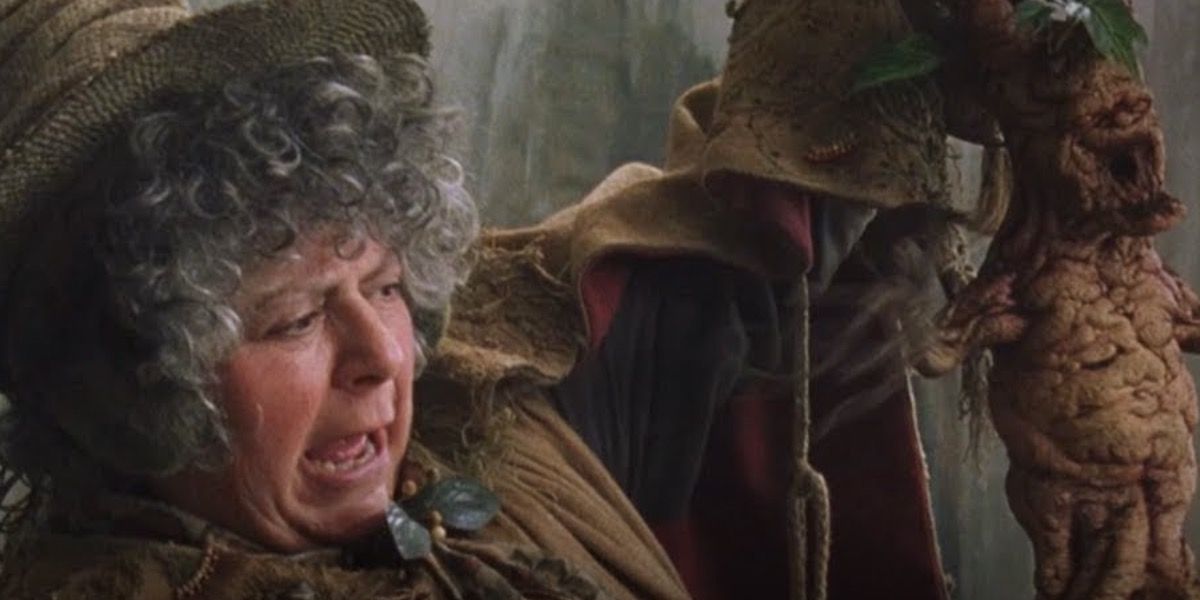 Top 10 Most Helpful Plants In Herbology In Harry Potter