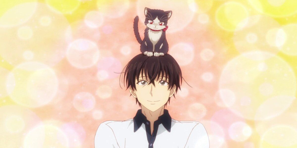 These Anime Cats Have Unique Attitudes About Their Owners – Otaku