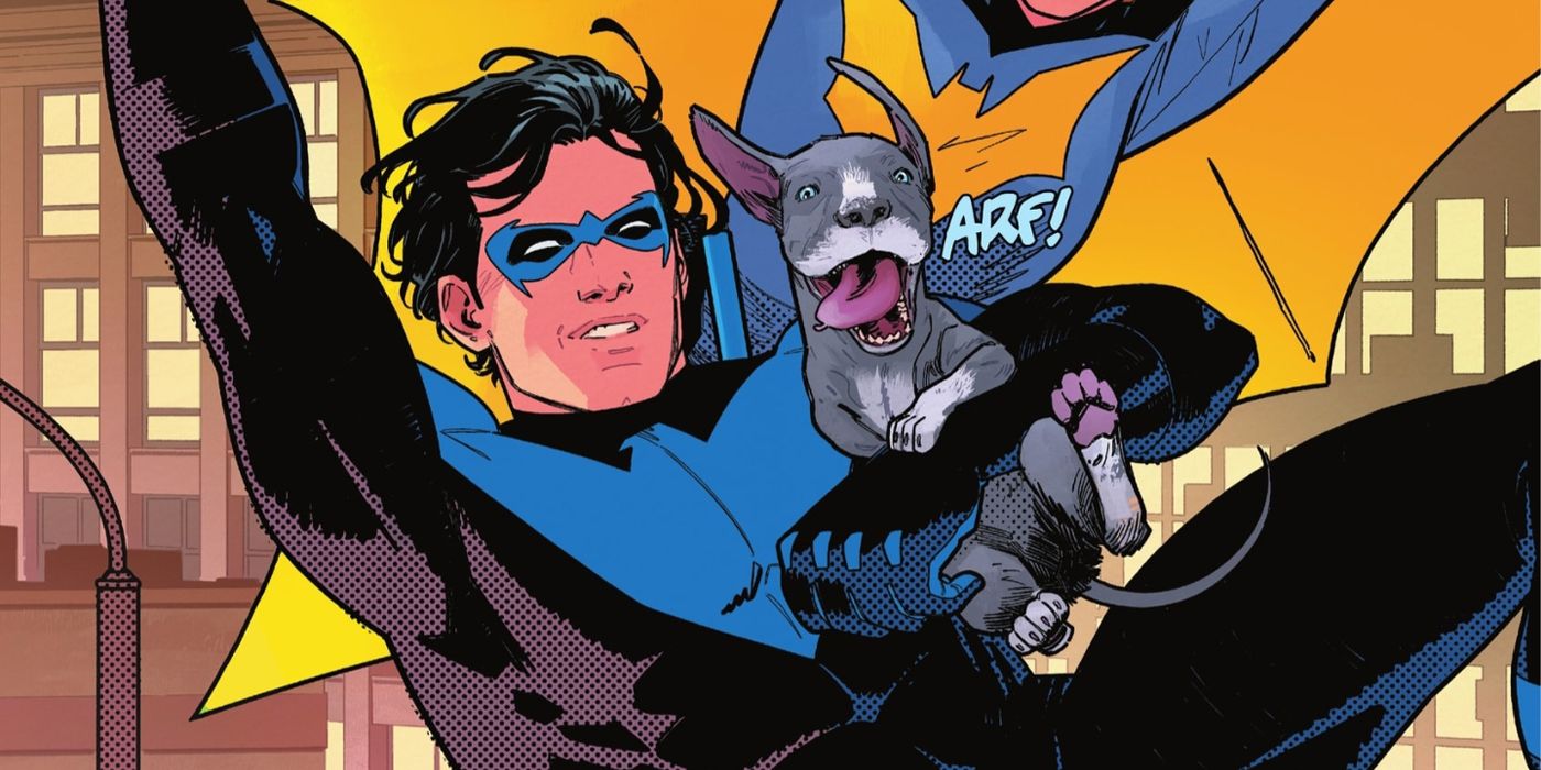 Nightwing  swings over the city with a happy dog in his arms.