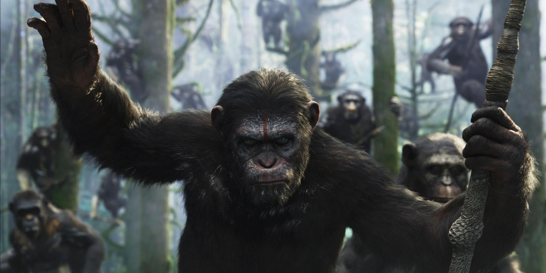 Apes readying an attack in the modern Planet Of The Apes Reboot