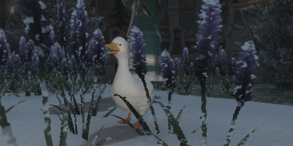 Ugly Duckling minion from Final Fantasy XIV