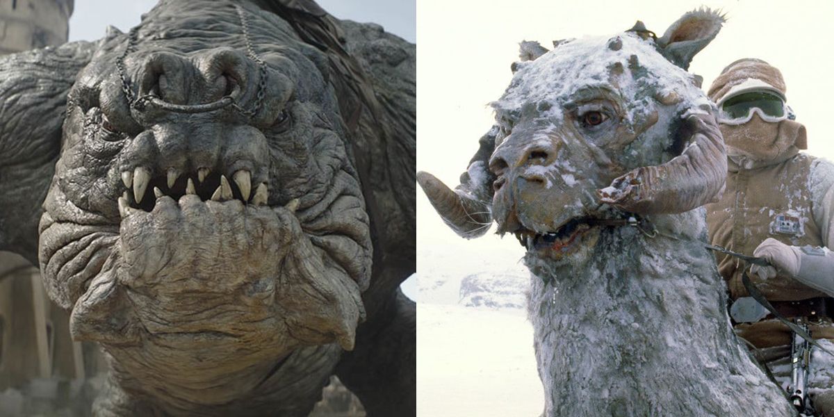Featured Image With Rancor and Tauntaun for Best Star Wars Mounts