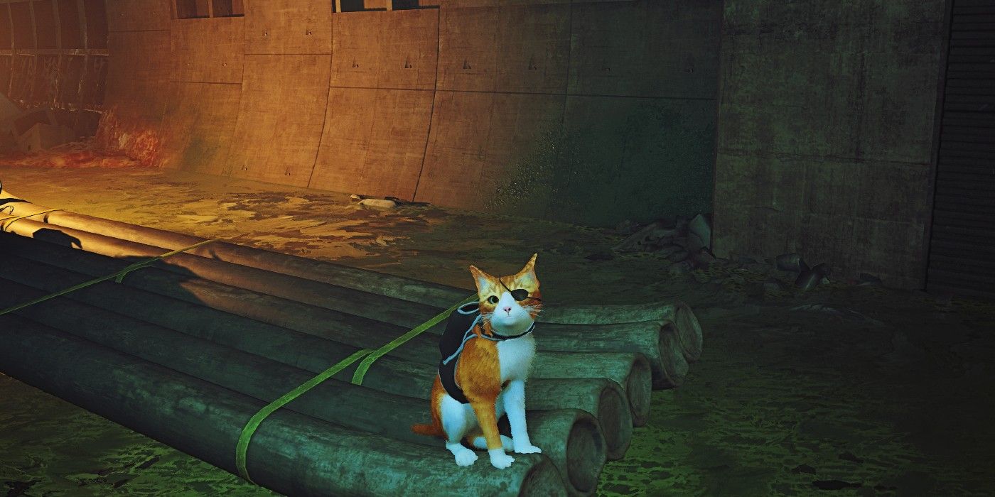 Screenshot depicting Stray's protagonist wearing an eyepatch.