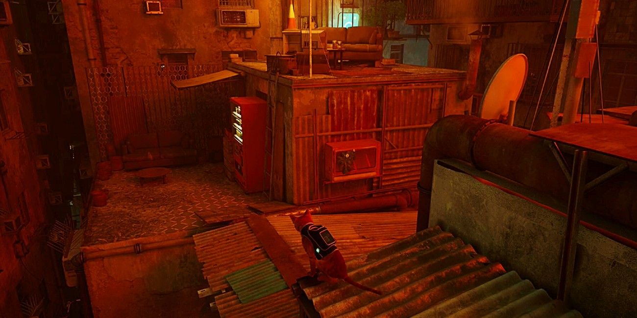 Stray Energy Drink & Vending Machine Guide